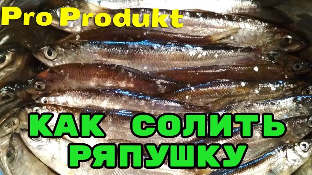 Как солить ряпушку