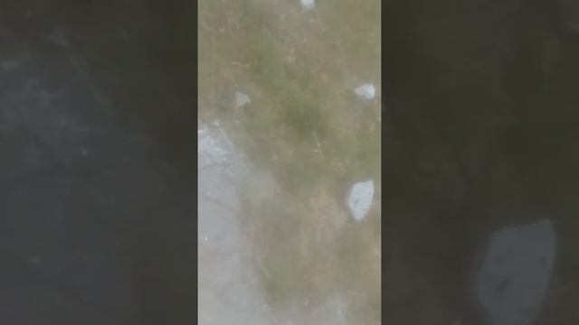 Стеклянная бутылка с 5 того этожа смотреть онлайн