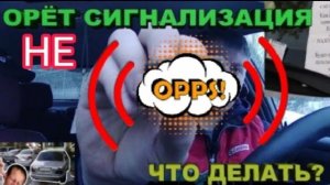 Сигнализация работает, но не орет. Ищем причину..mp4