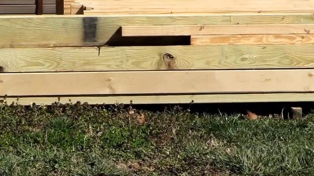 Updates On New Project My Pole Barn / Garage смотреть онлайн