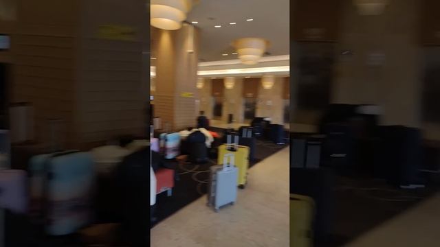 Гостиница Radisson Pulkovskaya