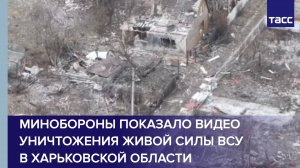 ВС РФ FPV-дронами уничтожили живую силу ВСУ в Харьковской области