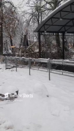 УЖАСНЫЕ ПОСЛЕДСТВИЯ ЛЕДЯНОГО ДОЖДЯ!!!Shorts