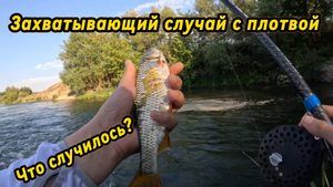 Ловим белую рыбу на траву. Реальная наживка для крупной плотвы (и не только) и неожиданная развязка