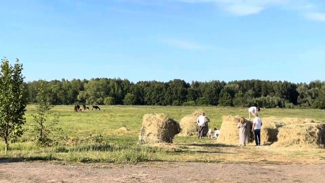 Влог: Поездка в парк альпак «Пача Мама»/Прогулка в Свияжске/Встреча в Меге/Угостились трдельником