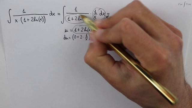 Integral of 1/(x*(1+2ln(x))) (substitution) смотреть онлайн