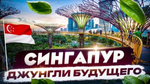 Обзор Сингапура в 2025. Топ 10 достопримечательностей.