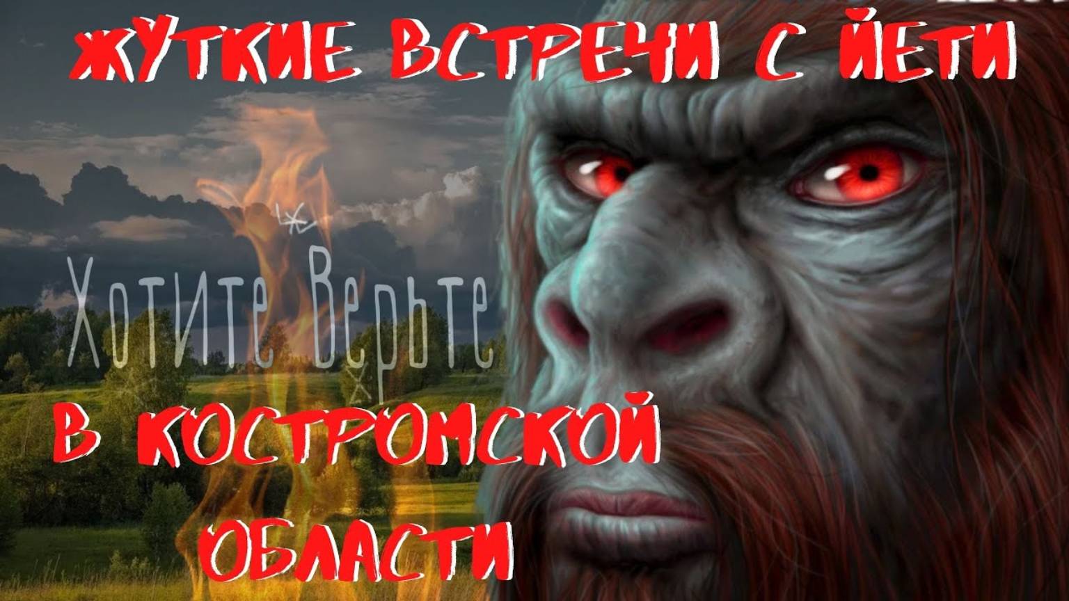 Жуткие встречи с Йети.В Костромской области.Взгляд Йети проникает в душу и вселяет дикий ужас.