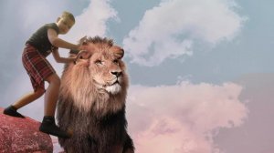 трансляция с телефонами