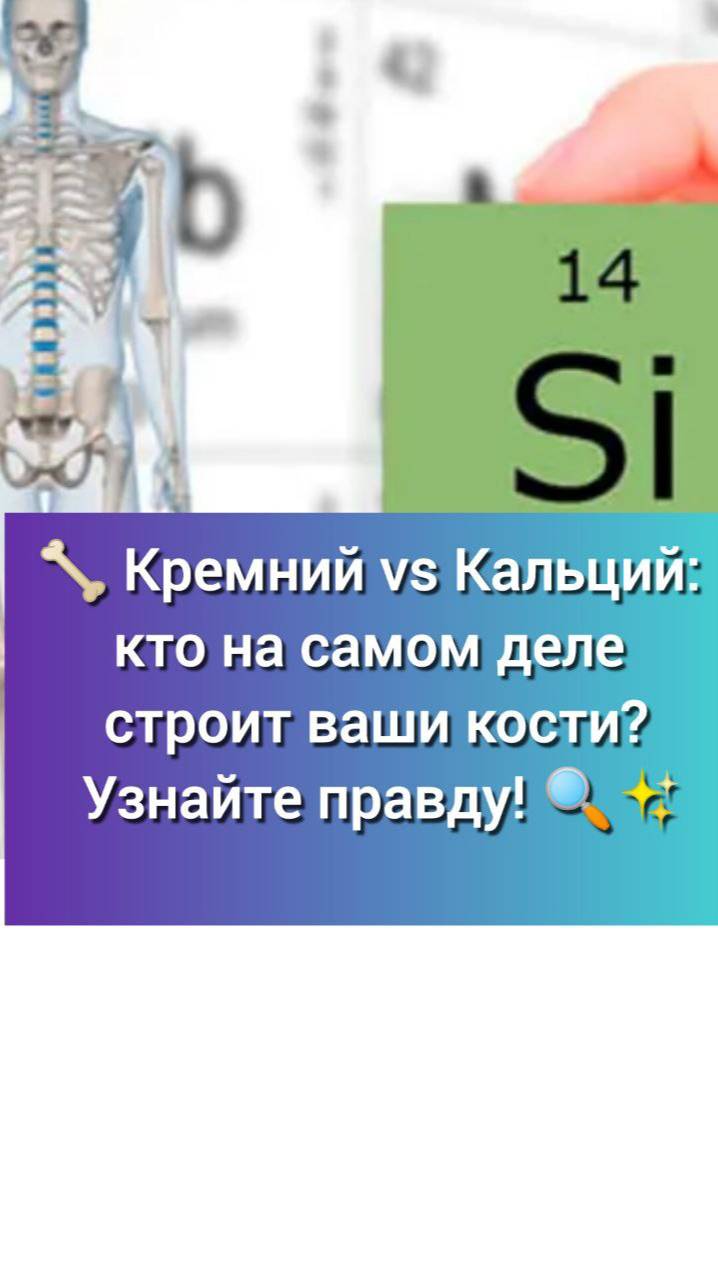🦴 Кремний vs Кальций: кто на самом деле строит ваши кости? Узнайте правду! 🔍✨