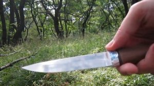 Нож АиР Пескарь (дерево)