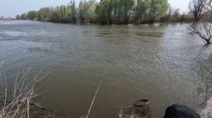 ЛОВЛЯ ВЕСЕННЕЙ ВОБЛЫ И САЗАНА В АСТРАХАНИ в 2024 году в 4K