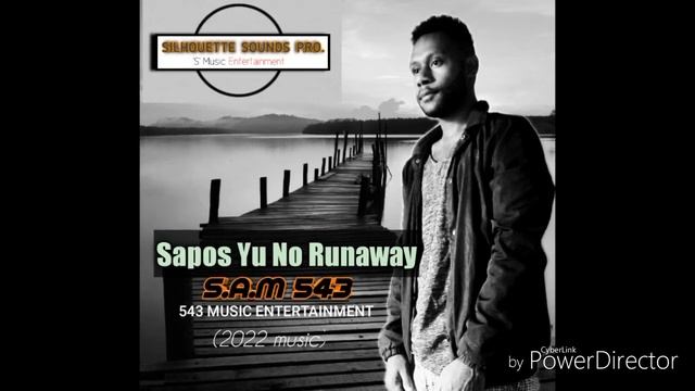 Sapos Yu No Runaway_S.A.M 543 × Silhouette _(2022 PNG Music) смотреть онлайн