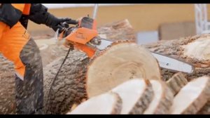 Лучшая пила для дров ✅