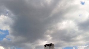 Николаевские голуби Крым.