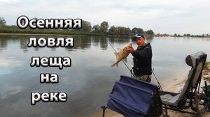 Ловля леща на реке.