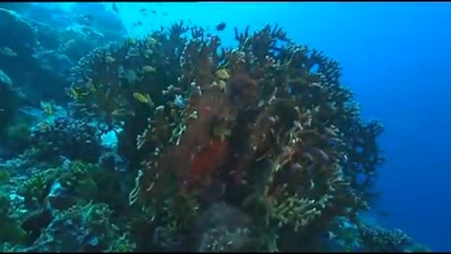 КОНЦЫ - Sailor Moon (Karaoke edition) смотреть онлайн