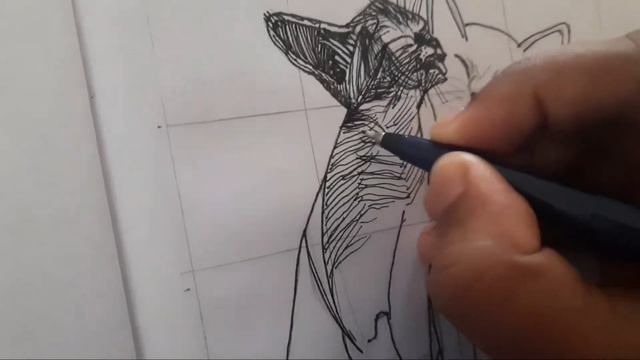 Black pen art  cat sketching  Life Verses