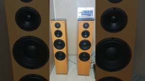 Jbl xti 100 (3)