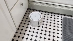 Petkit Eversweet Solo 2 Review: Best Cat Water Fountain 2023?