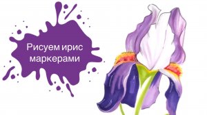 Рисуем Ирис Спиртовыми Маркерами! Урок для начинающих!