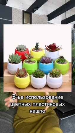 Красные флаги в озеленении!