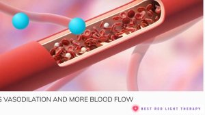 Best Red Light Therapy: Photon Path to Mitochondria that Generates ATP and More Blood Flow