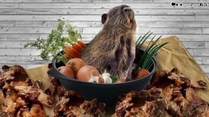 Сидим с бобром за столом)
