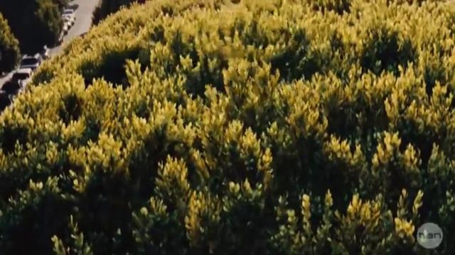 Even Caesar knows he is wrong! смотреть онлайн