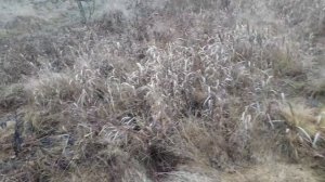 Саймон Стойка полулёжа и подъём