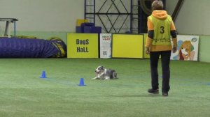 Чемпионат РКФ 2023 г. по Обидиенс.