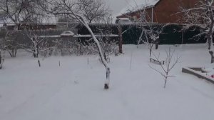 Просьба ко всем, снег не жрать! Это на Новый год!  Первый снег на Кубани.