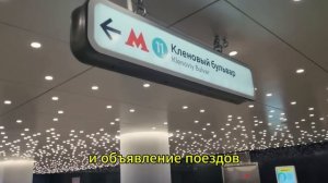 Французы приехали впервые в Москву, иностранцы думали, что в России нет электричества в 2024 году