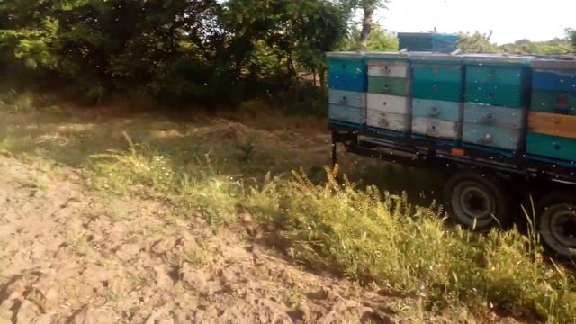 Прицеп для пчел.В лесу. смотреть онлайн