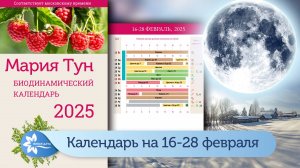 Календарь Марии Тун на вторую половину февраля 2025