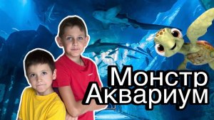 Monster Aquarium удивительный зоопарк в Паттайе Тайланд