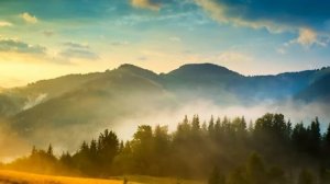 Невестка задумала проучить жадных родственников и устроила необычный юбилей для свекрови | Рассказы