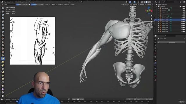 4 - Adding muscles to arm bones part 2