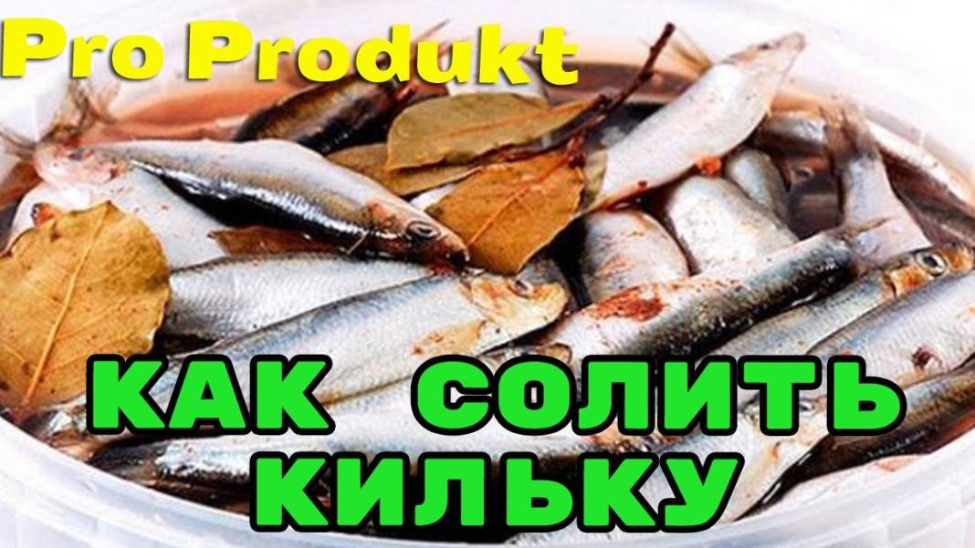 Как солить кильку для закуски