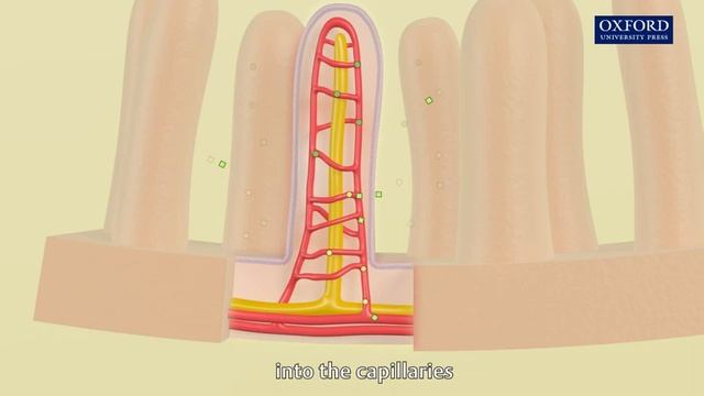 absorption смотреть онлайн