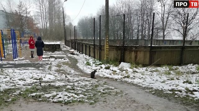 Ленинградская область — территория комфорта. Про Иссад
