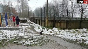 Ленинградская область — территория комфорта. Про Иссад