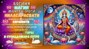 Богиня  магии Мантра-Йоги Ниласарасвати и ведическая богиня речи Сарасвати,  тантрическое подношение