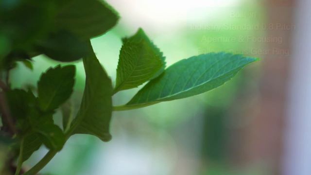 Brilliant Creative Studio Presents - Samyang Lens 85mm T/1.5 Testing смотреть онлайн