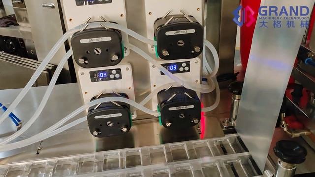 A customized DPP 150 Automatic Blister Packing Machine