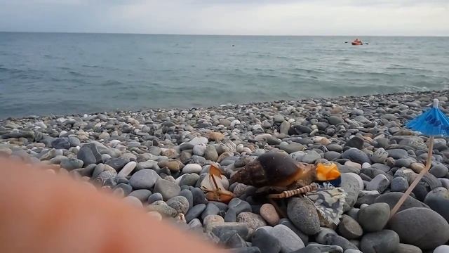 Эпизод24 "Отдыхающие, отдыхайте!" смотреть онлайн