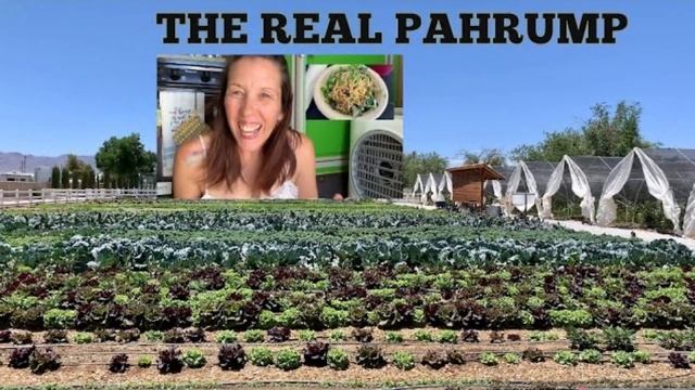 PAHRUMP LIVING: Best places in Pahrump Our Place for Coffee & Green Life for Produce : 2024 смотреть онлайн