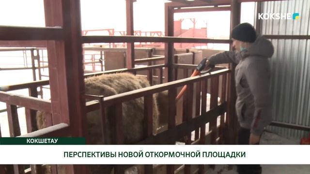 ПЕРСПЕКТИВЫ НОВОЙ ОТКОРМОЧНОЙ ПЛОЩАДКИ смотреть онлайн
