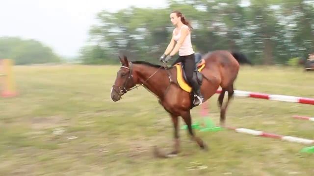 6,0 смотреть онлайн