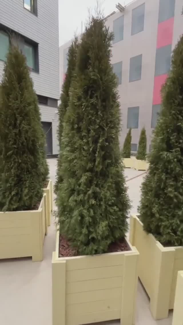 Пятизвездочный отель Maidens